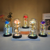 Rose éternelle avec lumières LED, acrylique et plastique, nouveau dôme en verre galaxie pour mariage, Noël, salon, emballé dans une boîte cadeau