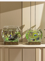 Meilleures ventes : Conteneur de rangement transparent en PET avec base, incassable, organisateur domestique