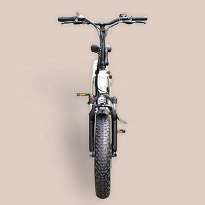 RaiderExpand-45F 50 km/h vitesse vélo pliant vélo électrique 20 pouces gros pneu <span class=keywords><strong>750w</strong></span> 1000W Ebike électrique gros pneu Bik - Product Image 6