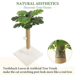 Arbre à chat en sisal naturel Petdom, tour griffoir haute de 32 pouces, structure d'escalade durable pour animaux de compagnie - Product Image 2