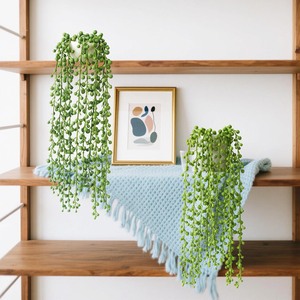 <span class=keywords><strong>Pianta</strong></span> Artificiale con Fili di Perle, Vite <span class=keywords><strong>Succulenta</strong></span> Realistica per Decorazione di Pareti e Mensole Domestiche - Product Image 2