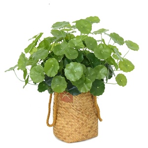 Chất Lượng Cao Giả Lụa Nhà Máy Lá Sen Nhân Tạo Bonsai Tán Lá Cho Trang Trí Sân Vườn - Product Image 1