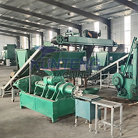 Machine de fabrication de briquettes de charbon à petite échelle, machines industrielles de charbon compressé, extrudeuse automatique, usines de production, Algérie