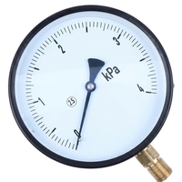 Commercial Pressure Gauge Brass Threaded Fitting Stainless Steel Case Pressure Gauge for Water Gas Oil Pipeline