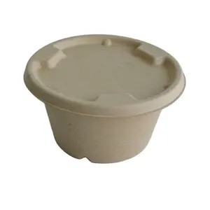 Green Treasure Custom 500ml 750ml 32oz eco biodegradable disposable soak proof noodle meal sugarcane bagasse salad bowl with lid