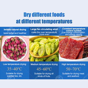 เครื่องอบแห้ง ORME สำหรับดอกคาโมไมล์ ลูกพรุน มะเดื่อ เห็ดดำ อาหารสัตว์ เนื้อหมู ปลา กุ้ง มีจำหน่าย - Product Image 5