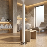 Diffuseur d'arômes professionnel pour hôtel et usage domestique, type Fanluosen, rechargeable par USB-C, atomiseur de parfum à double liquide, application intelligente