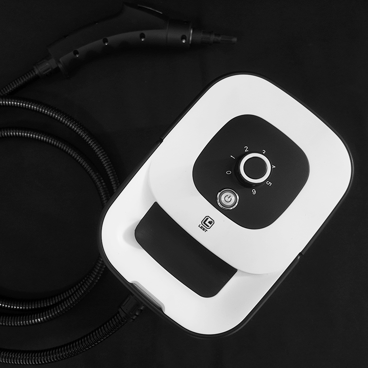 2500W Steam Cleaner for Home Steamer
