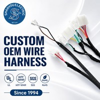 Produsen Kabel OEMODM, Kabel Harness Utama Lengkap Kustom, Set Kabel Listrik untuk Golf Cart