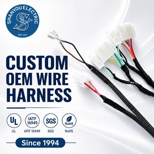 OEMODM线束制造商定制完整主内线束电动高尔夫球车线束电缆组 - Product Image 3