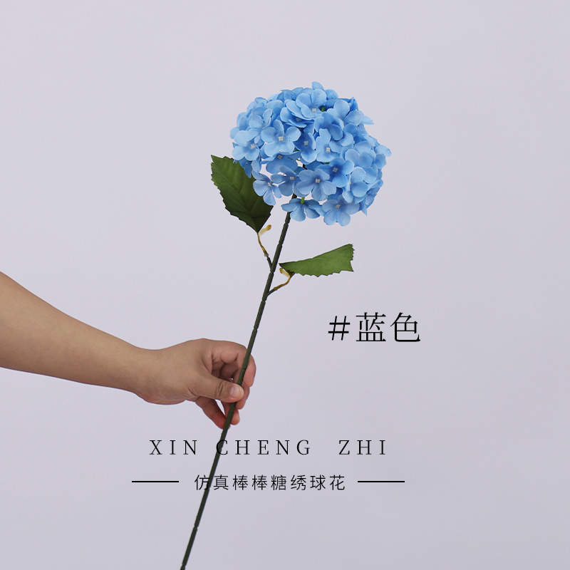 สีฟ้าพร้อมใบไม้