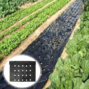 Cubierta de suelo de aislamiento térmico perforado de película agrícola de PE para retención de humedad del suelo y regulación de temperatura - Product Image 5