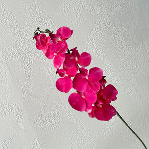 New Arrival Handmade Modern Artificial 9 Heads 3D Realistic Latex Orchid Phalaenopsis Flowers Back to School Decoration - Product Image 6