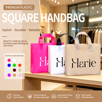 Sacs en PE de luxe personnalisés avec logo, poignée découpée durable et impression flexo pour boutique de vêtements