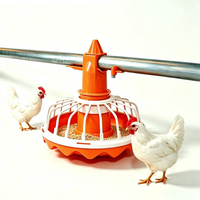 Système d'alimentation automatique clé en main par vis sans fin pour l'élevage au sol des poulets de chair et des poules pondeuses – Équipement avicole à grande échelle
