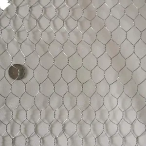 2023 hot sale hexagonal wire netting for garden