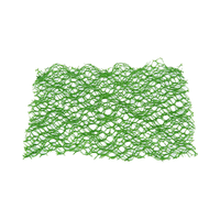 Géomate anti-érosion 3D en HDPE pour la protection des pentes, des routes, des barrages et des systèmes de drainage