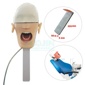 <strong>Dental</strong> <strong>Simulator</strong> Manikin Phantom Head <strong>Unit</strong> Student Practice Model with 28Pcs Typodont Teeth Medical Dentist Education Equipment - Product Image 1