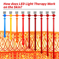 Panneau de luminothérapie infrarouge LED rouge REDSKY 180 cm 9 longueurs d'onde 6000 W pour le corps entier