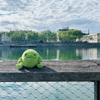 Peluche JC TOY STORY Jelly Style Version Haute 20cm Ricky Rain Frog avec base lestée, visage grincheux, toucher doux et lavable, jouet anti-stress