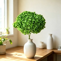 Groothandel Gedroogde Hortensia Kleine Blad Echte Gedroogde Bloem Langdurig Houdbaar voor Bruiloft Huisdecoratie Bloemstuk