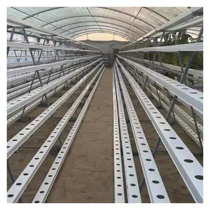 NFT Channel For Sale Top Commercial Hydroponics System With Removable Cover