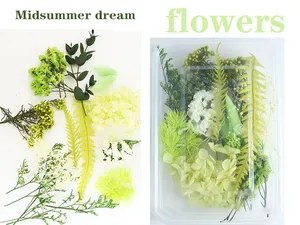 Kit <span class=keywords><strong>de</strong></span> Matériaux DIY pour Fleurs Éternelles <span class=keywords><strong>de</strong></span> Noël : Hortensia, Sargasse, Fleurs Séchées, Fleurs Flottantes Parfumées - Product Image 2