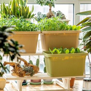 Jardinera Rectangular de Plástico para Balcón, para Cultivar Cebollín - Maceta Extra Grande para Vegetales, Maceta Clásica para Flores - Product Image 4