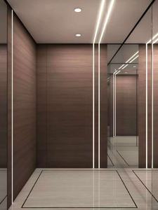 Ascenseur de passagers pour bâtiment résidentiel et hôtel, vente directe d'usine, machine VVVF, type de variateur de vitesse AC, meilleur prix - Product Image 6