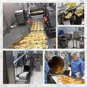 TCA anpassbare Linie für die Herstellung von Fleisch kartoffel chips Maschine zur Herstellung von frischen Kartoffel chips