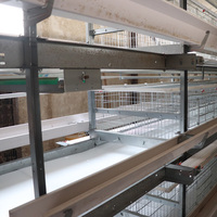 Cage d'élevage de poulet de couche de collecte d'oeufs de type H automatique de haute qualité avec garantie de satisfaction à distance en gros