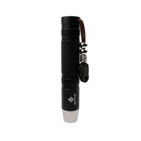Lampe torche professionnelle pour gemmes avec trois lumières (blanc, jaune, UV 365) compacte et rechargeable