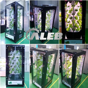 Nuevo Sistema Hidropónico Vertical Económico para Agricultura, Huerto Vertical Interior, Cultivo Vertical, Torre Hidropónica - Product Image 2