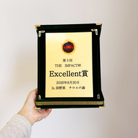 Boîte en velours pliable verte avec plaque dorée ou argentée pour certificat MH-LJ0355
