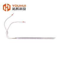 Tête de lampe à particules en céramique Revêtement blanc Twin Tube Quartz Ir Lampe halogène