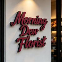 Letras de Canal con Iluminación Frontal LED 3D Personalizadas, Acero Inoxidable, IP54 Impermeable, Multicolor, Control Manual, Letrero para Exteriores para Hogar y Negocios