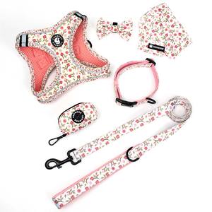 Correa y Collar Personalizados para Perro Arnés para Perro Bordado de Calabaza Bolsa para Paseo de Perro Bolsa de Entrenamiento Accesorios de Lujo para Bulldog Francés al Por Mayor - Product Image 3