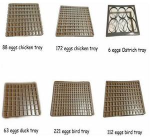 ตู้ฟักไข่อัตโนมัติ HHD 528 สำหรับอุตสาหกรรม  สำหรับฟักไข่นกนางพญา ไข่ไก่ - Product Image 6