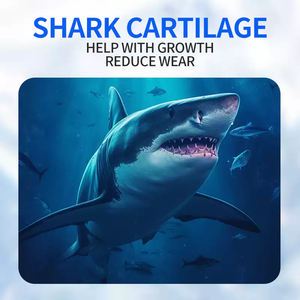 プライベートブランド 高タンパク質 ペットヘルスケア グルコサミン＆コンドロイチン 関節サポート 犬用ソフトチュアブルパウダー入り ベストセラー - Product Image 3