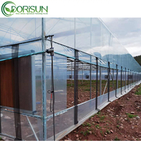 Dorisun agricultura tomate película comercial invernadero aluminio grande poli alto túnel marco invernadero