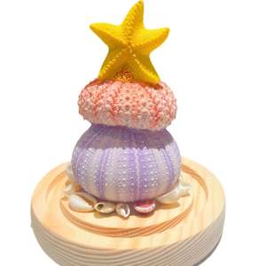 Adornos para el Festival de Primavera de Año Nuevo, Luz Nocturna Luminosa con Diseño de Erizo de <span class=keywords><strong>Mar</strong></span>, Inspirada en Frozen, Regalo de Cumpleaños para Novia o Muñeca - Product Image 5