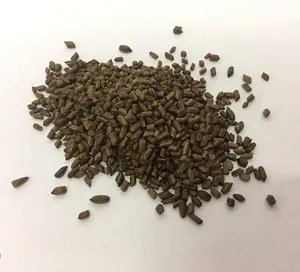 थोक अच्छी गुणवत्ता वाली कैसिया बीज चाय चीनी प्राकृतिक जड़ी बूटी चाय कैसिया बीज बिक्री पर