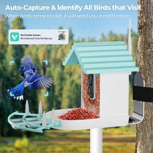 Fabricante de Alimentadores de Pássaros Portáteis para Exterior com Câmera HD, Estrutura Resistente às Intempéries, Tecnologia de IA com Visão Noturna - Product Image 2