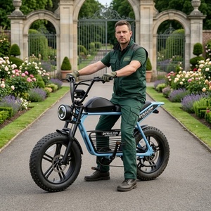Umweltfreundliches Schwarzes Hybrid-Elektrofahrrad mit 48V 16Ah Lithium-Akku, Park-E-Bike für Gartenpflege - Product Image 1