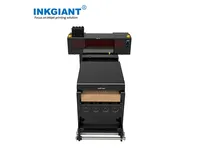 INKGIANT BF-60E2(s)-S Nouvelle imprimante numérique DTF automatique avec encre pigmentée 60 cm 2 têtes multicolores