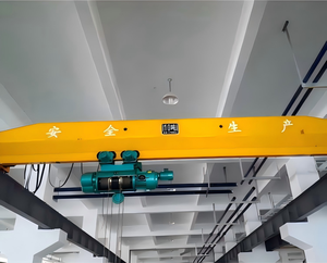 Grúa Puente de Servicio Pesado con Polipasto de Doble Velocidad y Control Remoto Inalámbrico para Plantas de Procesamiento y Fabricación de Acero - Product Image 4