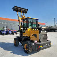 Produttore Europeo di Pale Gommate con Certificazione CE EPA, Motore Diesel, Mini Trattore 4WD, Caricatore Frontale, Piccole Pale Cingolate Compatte