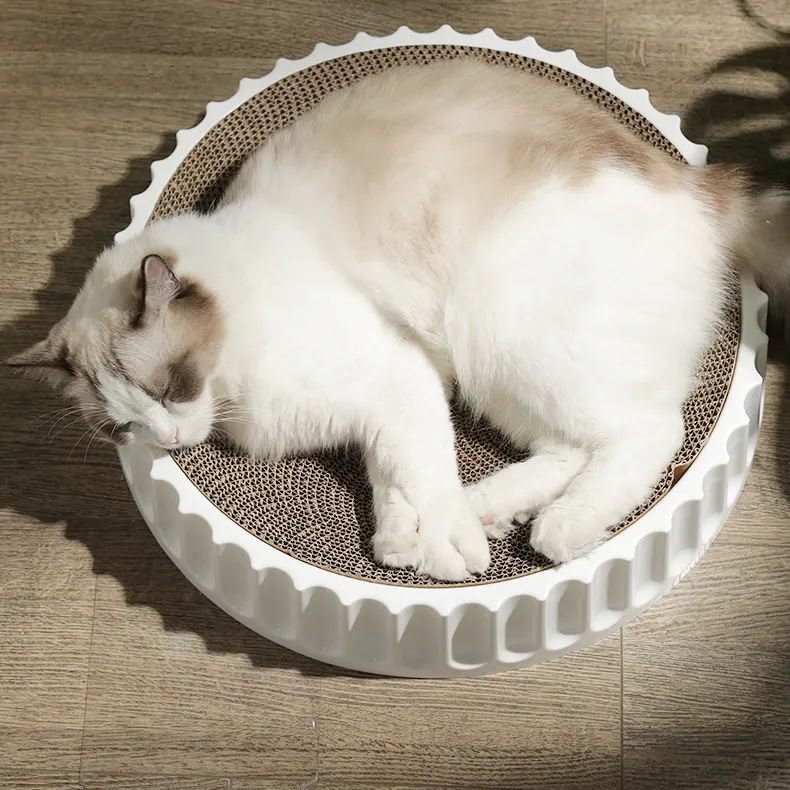 Griffoir pour chat personnalisé lit rond pour animaux de compagnie dormir chat meulage griffe planche à gratter jouets pour chats jouets pour animaux de compagnie en gros