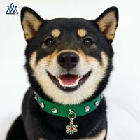 Collier pour chien transfrontalier en plastique couleur unie, anti-étranglement, pour Corgi et Teddy, avec pendentif de Noël, style Ins