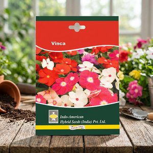 IAHS VINCA PACIFICA XP MIX Vinca <b>Seeds</b> 25 <b>Seeds</b> Pack Multi-Colored Product Category - Product Image 2